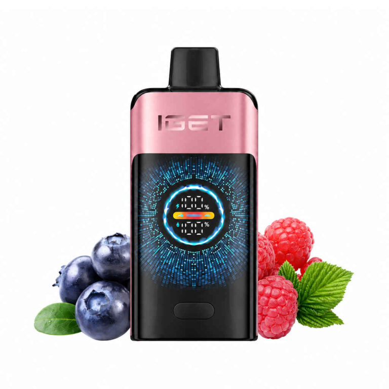 IGET ONE – Blueberry Raspberry Disposable Vape Australia