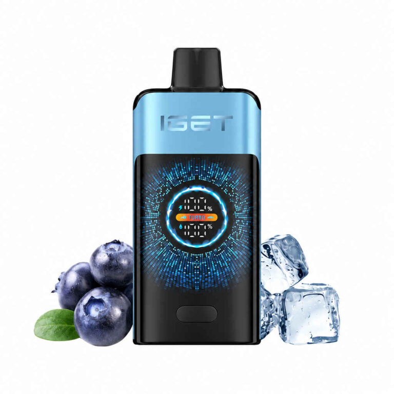 IGET ONE – Blueberry ice Disposable Vape Australia