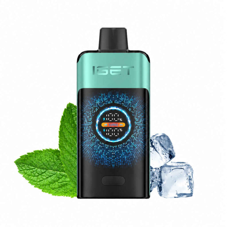 IGET ONE – Mountain Spring Mint Ice Disposable Vape Australia