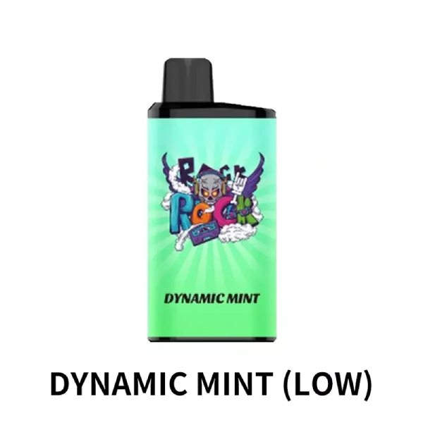IGET Bar PRO 10000 – Dynamic Mint Disposable Vape Australia